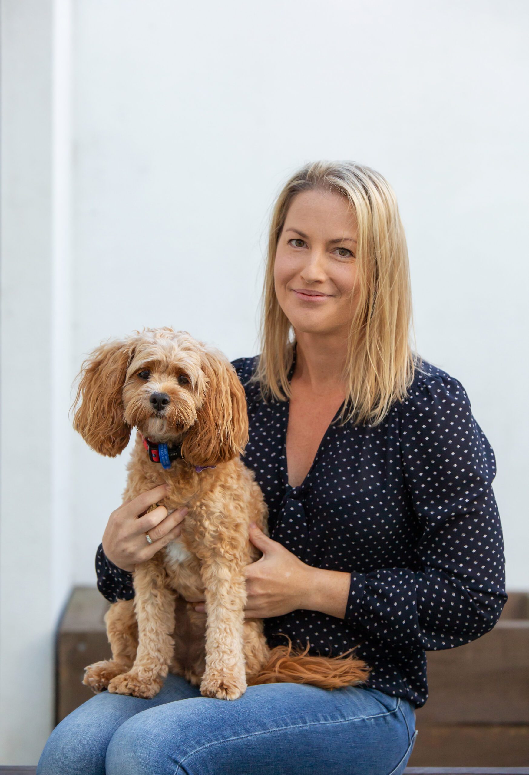 Protecting New Zealand pets Our Story Meet the Pack Furmail